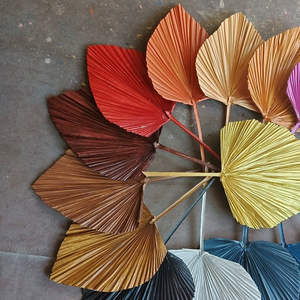 Hojas de Palma Secas, Teñidas de Colores, Hojas Naturales de Palma Secas para Arcos de Boda, Decoraciones Interiores y Exteriores - Product Image 3