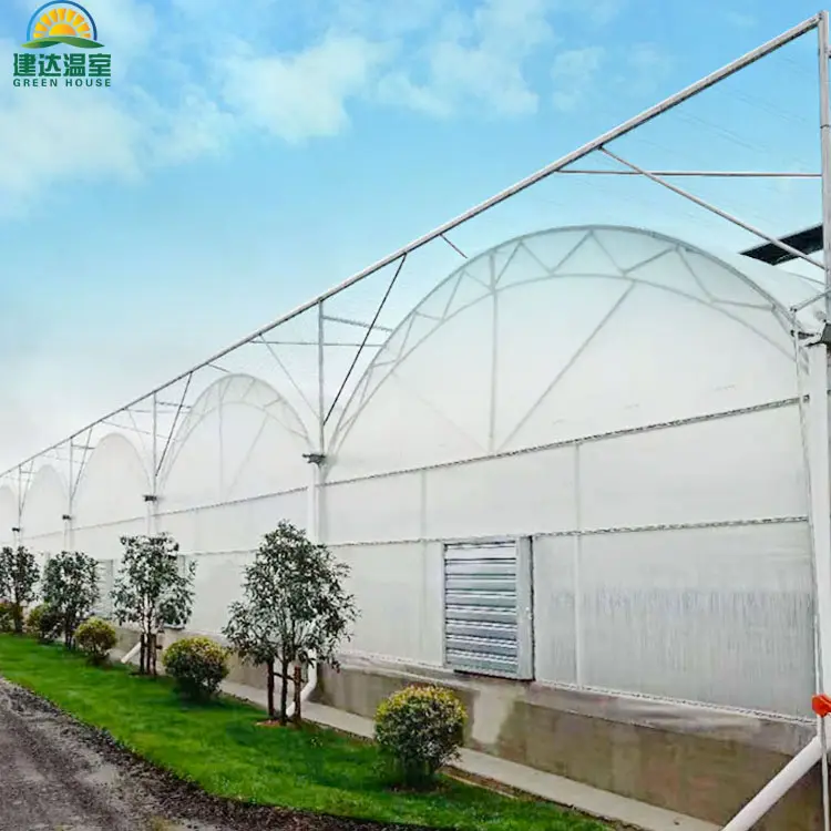 غشاء زراعي لصوبة الزجاج لزراعة بذور الخضراوات/الطماطم/الخيار مع نظام تبريد ونظام الزراعة المائية من SUNSGH