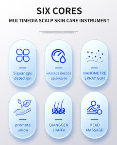 Appareil de massage du cuir chevelu 5 en 1, analyseur de cheveux, traitement de la perte de cheveux, stimulateur de croissance des cheveux avec mode de comparaison - Product Image 4