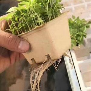 Modellato in fibra di polpa cesto di bacche produrre contenitore ventilato <span class=keywords><strong>per</strong></span> frutta e verdura Farmer Market <span class=keywords><strong>negozi</strong></span> di alimentari e festa in giardino - Product Image 6