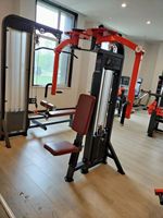 Machine à exercices ZY Straight Arm Fly avec pile de poids de 75 kg pour entraînement de force des pectoraux, équipement pour salle de sport commerciale et centre de fitness