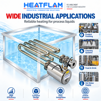 Brûleur immergé HTX60 pour cuves CIP de finition métallique – Pièces de chaudière à gaz naturel, chauffe efficacement les liquides, gain de place