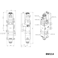 1.5kw 3.3kw 4kw 6kw Auto Focus 2D Tête de coupe Raytool BM114S BM111 BM109 pour machine de découpe laser Pièces d'équipement laser
