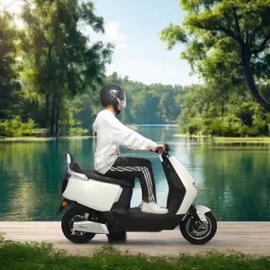 High Quality Disc Brake Electric Motorcycles for Adults Hot Selling Urban Electric Motorbike for City Use Electronic Smart Type