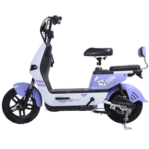 Bicicleta Eléctrica Paige, Bicicleta Todoterreno en Venta, Quad Usado para Niños, Bicicleta Eléctrica, Motor <span class=keywords><strong>de</strong></span> Cubo <span class=keywords><strong>de</strong></span> 25 Km/h, Batería <span class=keywords><strong>de</strong></span> 48v - Product Image 6