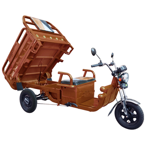<span class=keywords><strong>Triciclo</strong></span> Eléctrico COC EEC <span class=keywords><strong>de</strong></span> 1000W, Tipo TukTuk, <span class=keywords><strong>de</strong></span> Tres Ruedas, para <span class=keywords><strong>Carga</strong></span> Agrícola, Disponible en Almacén <span class=keywords><strong>de</strong></span> la UE - Product Image 6