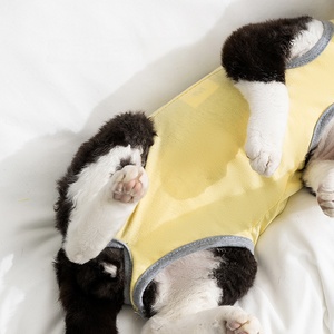 Chaleco de Esterilización al por Mayor de Lujo, Bonito, de Poliéster, Sencillo, Estampado para las Cuatro Estaciones, para Perros y Gatos, para Gatas Después de la Destete, Previene Mordeduras - Product Image 4