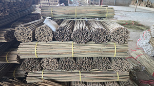 Estacas de Bambú Agrícolas, Caña de Tonkin de Diámetro Pequeño, Soporte Resistente, Precio Directo de Fábrica en Vietnam - Product Image 3