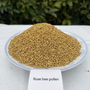 Polen de Abeja Natural Silvestre al por Mayor, Materia Prima Pura, Polen de Miel Fresco de Alta Calidad, Nuevo Polen de Abeja Fresco - Product Image 1