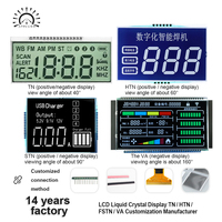 Modul Layar LCD Kustom OEM TN HTN STN FSTN VA Panel Kristal Cair Segmen untuk Perangkat Rumah Pintar dan Layar Kontrol Industri