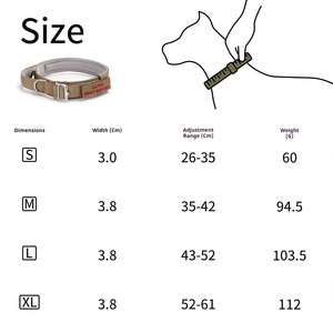 <span class=keywords><strong>Collar</strong></span> de perro de nailon ajustable de lujo con hebilla de metal resistente y patrón sólido de mango para entrenamiento de perros - Product Image 5