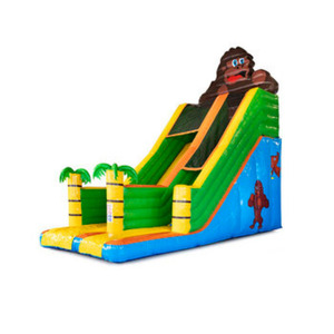 Tobogán Inflable Doble para Uso en Seco/Húmedo para Negocios de Alquiler de Fiestas/Tobogán Inflable con Temática de Carnaval - Product Image 6