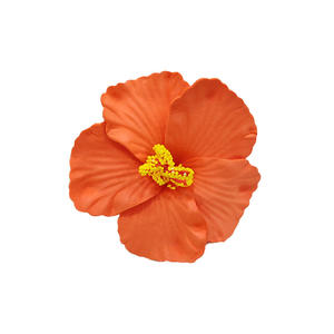 مشبك شعر بلاستيكي أنيق جديد لعام <span class=keywords><strong>2025</strong></span> بتصميم منقار البط للنساء، إكسسوار شعر للحفلات والشاطئ وكهدية - Product Image 5