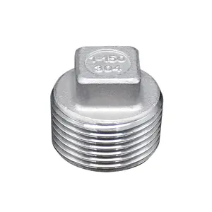 Industrial Grade Pipe Fittings Brand New Customized 304 Stainless Steel Thread Plug