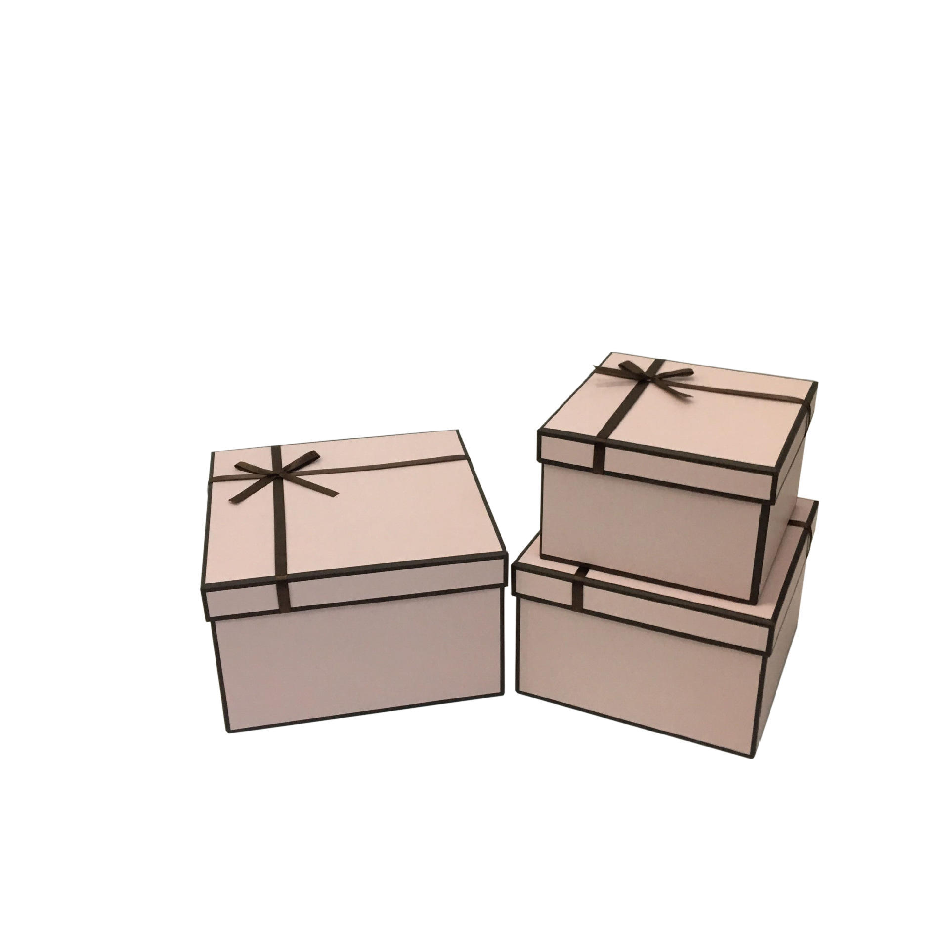 W5853 rose-w5853 rose