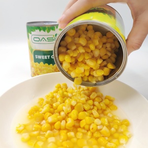 Premium-Süßmais in Dosen, Neu Produziert <span class=keywords><strong>2026</strong></span>, mit Vernünftigem Preis für Fruchtmais-Dosen - Product Image 3
