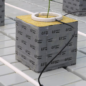 Upup kubus hidroponik wol batu pertumbuhan rumah kaca komersial akar cepat dan baik - Product Image 6