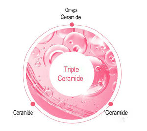 Aceite esencial de rosa de Corea PDRN, suero de péptido rosa, potenciador facial, suavizante de líneas finas, blanqueamiento, brillo PDRN, suero de reparación de brillo - Product Image 6