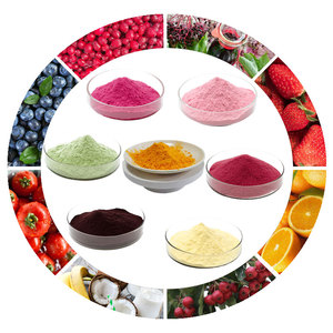 Hỗn hợp cà rốt cà chua mâm xôi chanh <span class=keywords><strong>Cranberry</strong></span> Việt Quất dâu xoài bột Superfood đóng băng bột trái cây sấy khô - Product Image 3