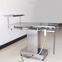 Table d'opération vétérinaire électrique inclinable en acier inoxydable EURVET à prix d'usine avec chauffage thermostatique pour animaux
