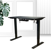 Table de bureau de levage électrique, bureau de jeu à domicile, hauteur réglable, bureau debout pour ordinateur