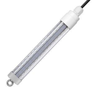 โคมไฟตกปลาใต้น้ำ LED สีขาว12โวลต์โคมไฟ IP68ปลาสำหรับตกปลาใต้น้ำและใต้น้ำสำหรับเป็นแหล่งดึงดูดปลาสีเหลืองสีเขียวสีน้ำเงิน