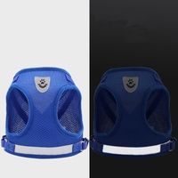 Ensemble de harnais et de laisse pour chien et chat, pour promener les petits animaux, harnais pour animaux de compagnie en maille douce réglable