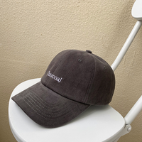 Casquette de Baseball Délavée Sport Homme 6 Panneaux Brodée, Qualité Marque, Logo Personnalisé, Casquette Dad Hat