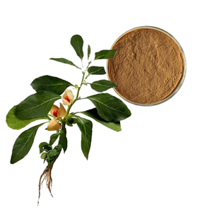 ผงสมุนไพรสารสกัดแอนโดรกราฟิสเกรดอาหารมีส่วนผสมของวิตามินว่านหางจระเข้บรรจุในถังบรรจุ1กก. - Product Image 3