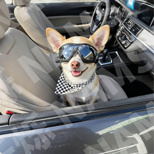Lunettes de soleil pour chien, protection UV, anti-poussière, accessoires pour petits chiens et chats, utilisation en extérieur, plastique durable, forme arrondie, toutes saisons - Product Image 2