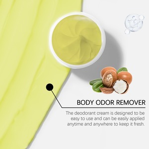 Best Seller <b>Odor</b> Deodorant Antiperspirant <b>Cream</b> Bad Smell Cleaner Armpit <b>Foot</b> Body <b>Odor</b> Removal Fox <b>Odor</b> Ointment - Product Image 2