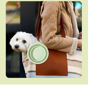 Tazón de Comida y Agua Plegable de Silicona con Patrón de Macaron, Impermeable, 2 en 1, Portátil para Perros, Gatos y Animales Pequeños - Product Image 6