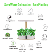 Lampe de culture LED de table pour plantes hydroponiques avec spectre complet pour plus de 70 types de plantes