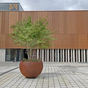 Jardinière suspendue/murale en acier corten, écologique, légère, durable, pour l'extérieur/l'intérieur, décoration de jardin pour la maison - Product Image 6