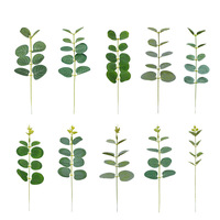 Meilleures ventes : Tiges d'eucalyptus en soie durables, feuilles artificielles pour décoration murale florale, pour Pâques, Noël, Halloween et la rentrée scolaire