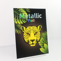 Affiches personnalisées imprimées A2 A3 A4, impressions d'art holographiques/métalliques, illustrations d'anime, décorations murales pour la maison