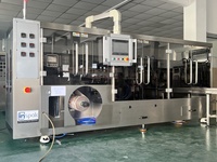 Machine d'emballage de sachets de comprimés HFFS
