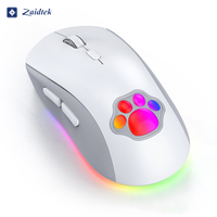 Souris sans fil rechargeable BT à double mode, 2400 DPI, avec motif de patte de chat de dessin animé, multicolore, lumineuse, silencieuse, 2.4G