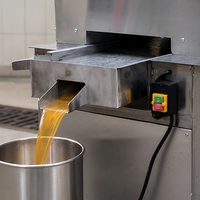 Extracteur de jus de fruits à double rouleau en acier inoxydable 304, presse-agrumes pour citrons et agrumes, pour usage commercial
