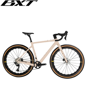 Bicicleta de grava de carbono BXT, fibra de carbono, Cable oculto completo, freno de disco de enrutamiento, colgador UDH, bicicleta de carretera, Grupo GRX RX810 - Product Image 5