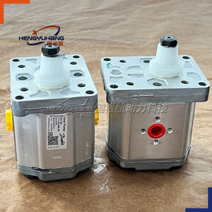 <span class=keywords><strong>Pompe</strong></span> hydraulique SAUER <span class=keywords><strong>DANFOSS</strong></span> 111.20.280.00 SNP2NN/011RN01BAP1F4F4 111.20.284.00 SNP2NN/017RN01BAP1F5F4 <span class=keywords><strong>Pompe</strong></span> à huile <span class=keywords><strong>Pompe</strong></span> à engrenages pour - Product Image 5