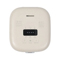 Petit appareil de cuisine portable Cuisinière électrique multi-usages Mini cuiseur à riz 2L