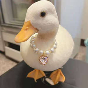 Venta al por mayor de cristal de lujo perro gato <span class=keywords><strong>Collar</strong></span> para Navidad y Halloween - Product Image 1