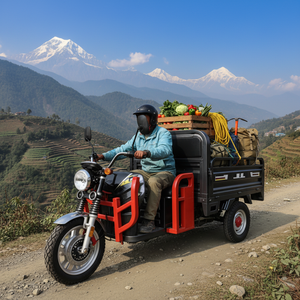 Triciclo Eléctrico de 1000W y 72V, 3090mm de Longitud, 3 Ruedas, Caja de Carga Abierta para Granja y Logística - Product Image 1