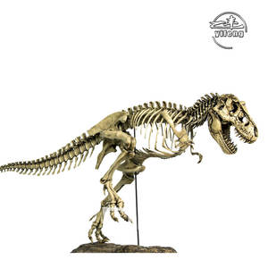 Riceratops-<span class=keywords><strong>esqueleto</strong></span> de dinosaurio fósil de inosaur, para useum - Product Image 3