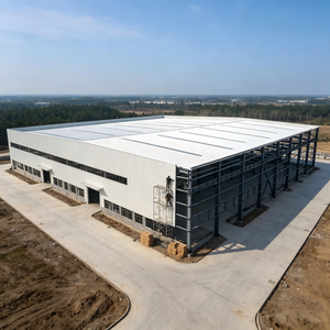 Taller de Estructura de Acero Galvanizado de Gran Envergadura, Diseño Moderno, Alta Resistencia, Personalizable, Edificio Industrial - Product Image 1