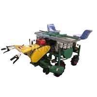 Transplanteuse de légumes à haut rendement/Machine de transplanteuse de semis/transplanteuse de chou à vendre