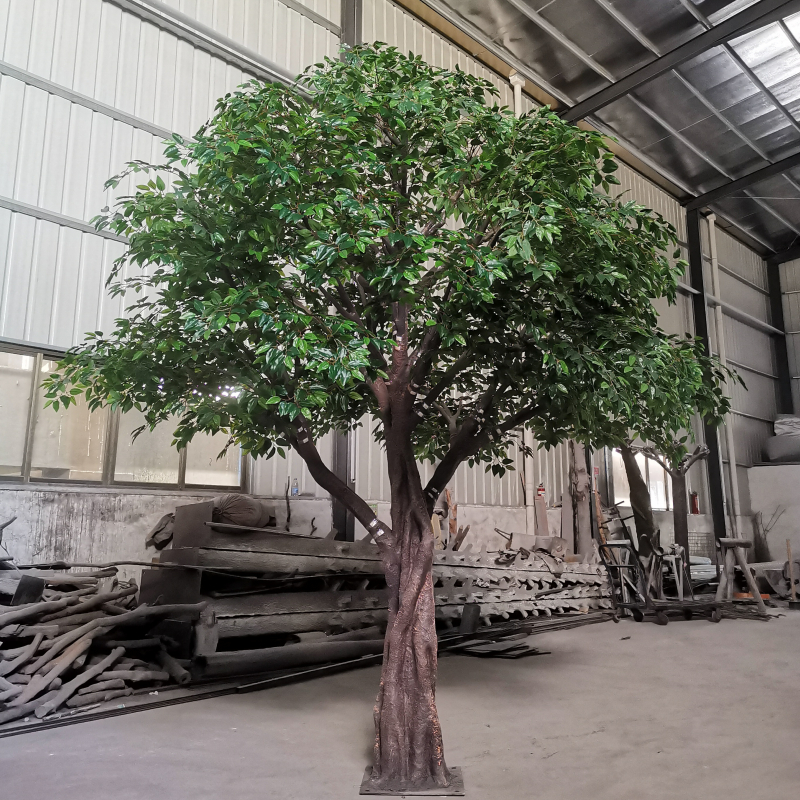 Arbre 5