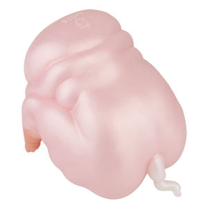 Masturbator pria terlaris G6619 dengan saluran ganda dan sensasi amplop kuat Masturbator bertema hewan baru 2025. - Product Image 3