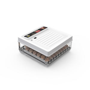 ตู้ฟักไข่ไก่ขนาดเล็ก 64 ฟอง แบบเติมน้ำอัตโนมัติ พร้อมถาดไข่ปรับระดับได้ ขาย - Product Image 4